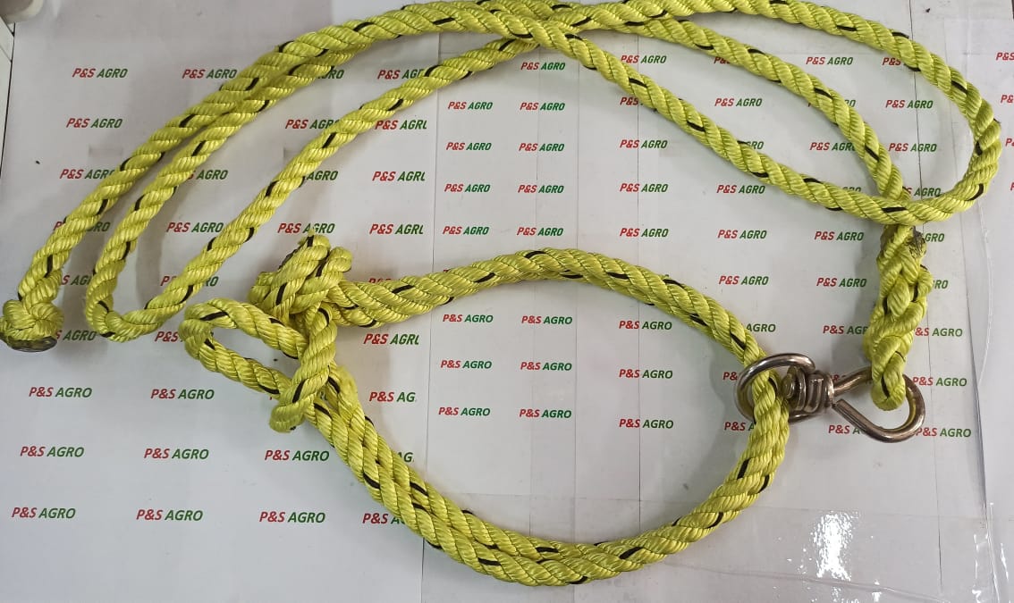 Yellow Rope